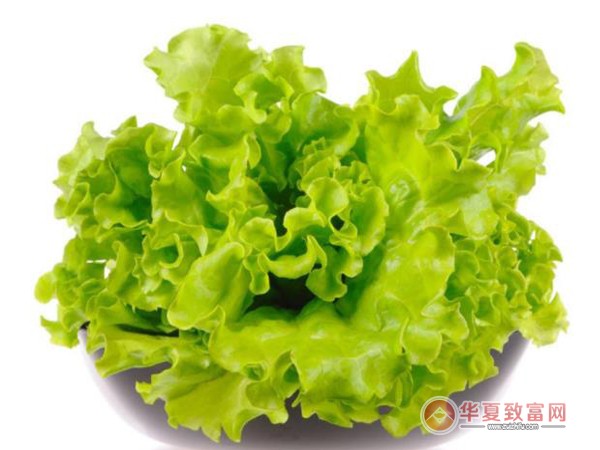 围辣串串香加盟